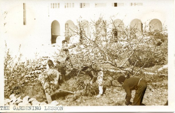 Arbor Day at Nadur Primary