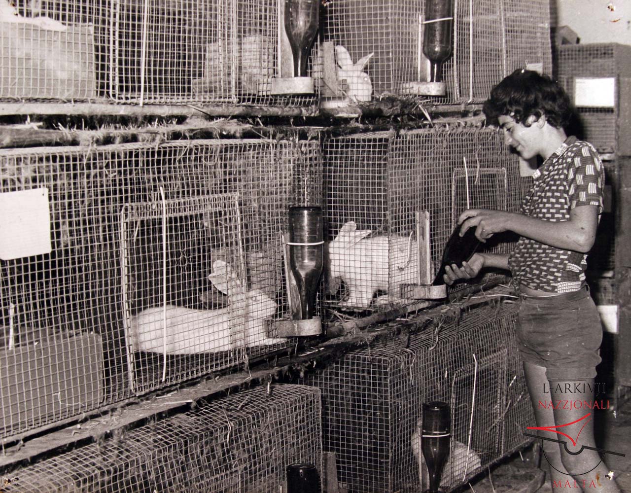 Gozo Experimental Farm