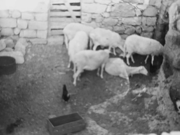 The original Pergola farmhouse