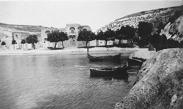 Xlendi bay’s sandy shore and tamarisk trees