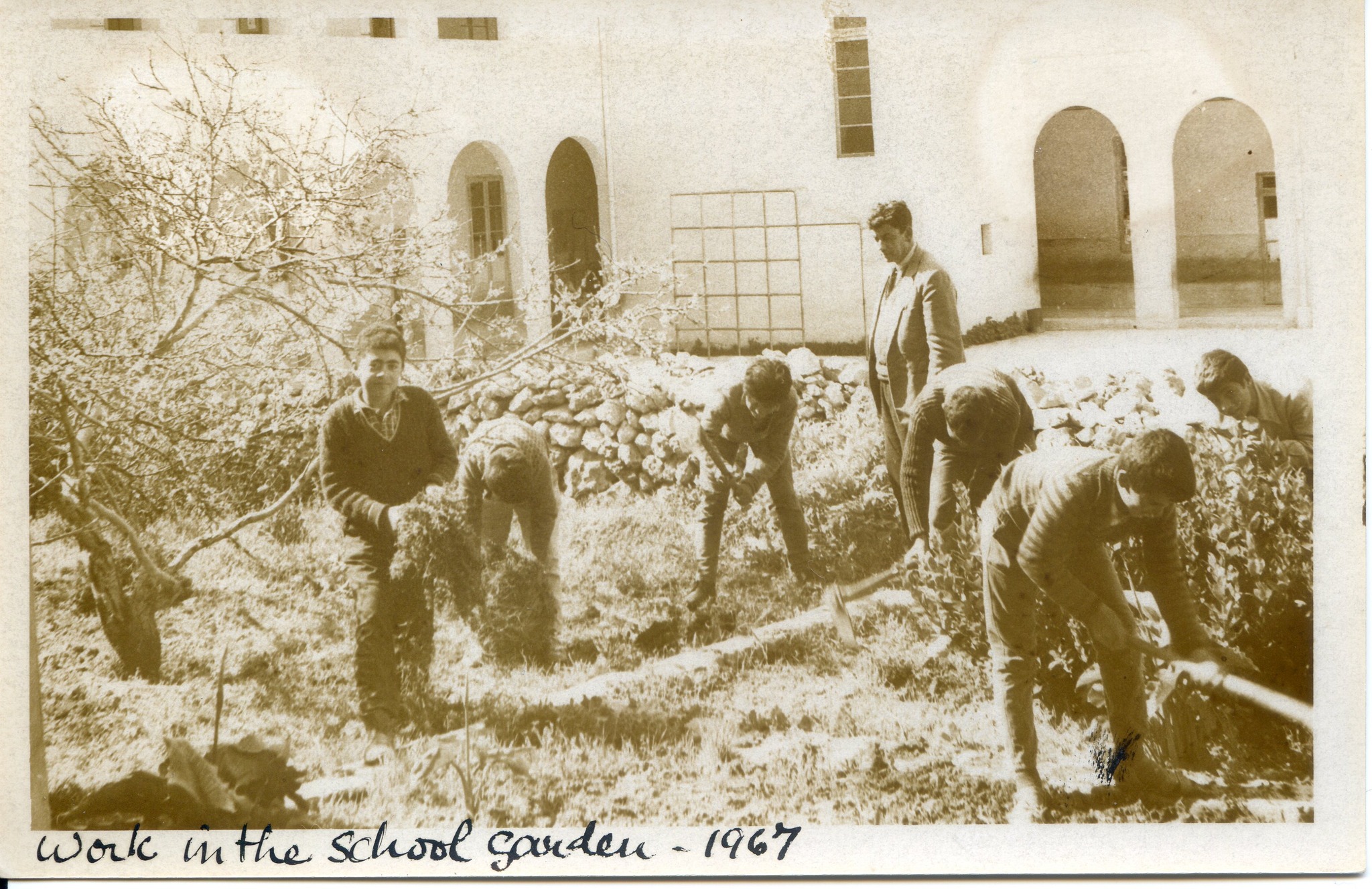 Arbor Day at Nadur Primary