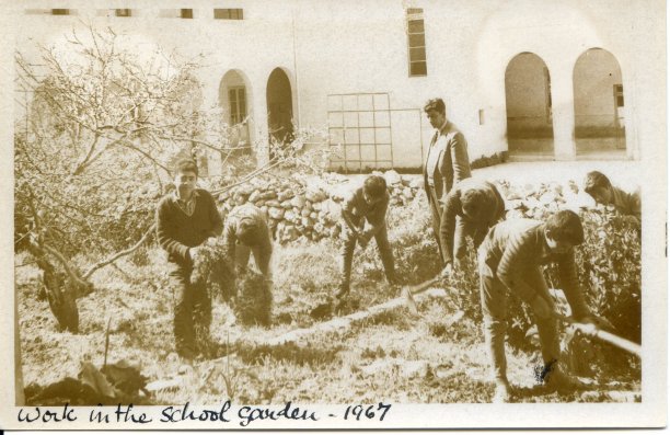 Arbor Day at Nadur Primary