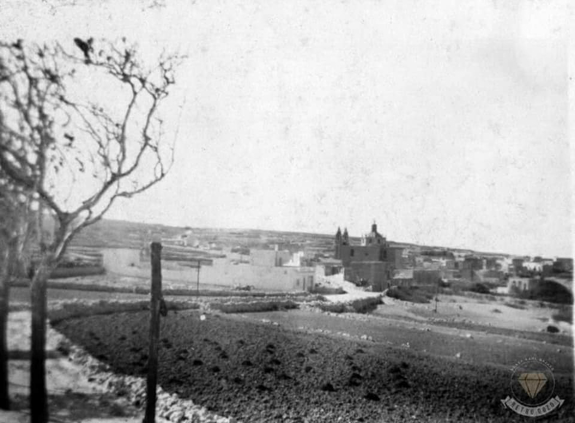 Scenic view of Munxar