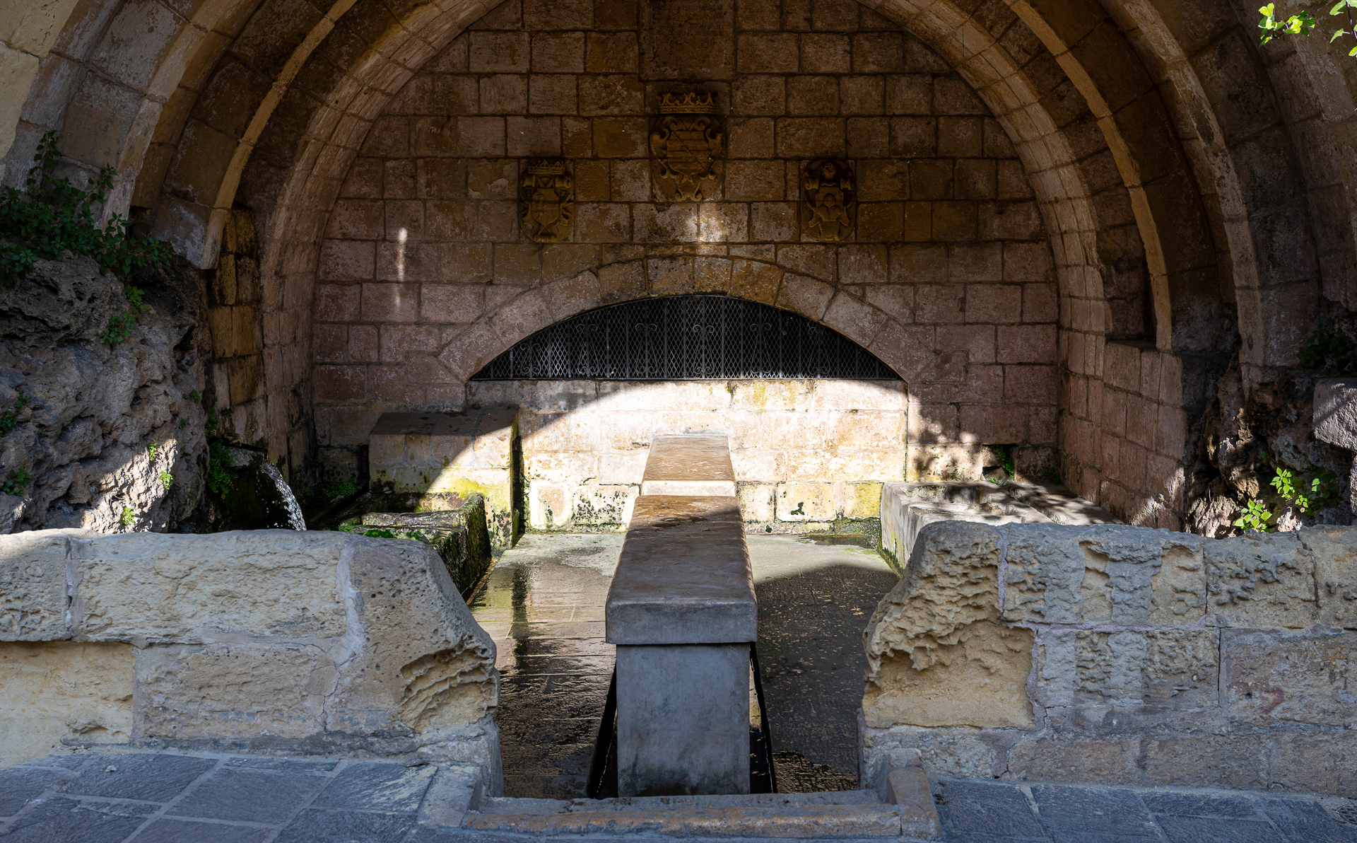 Għajn tal-Ħasselin