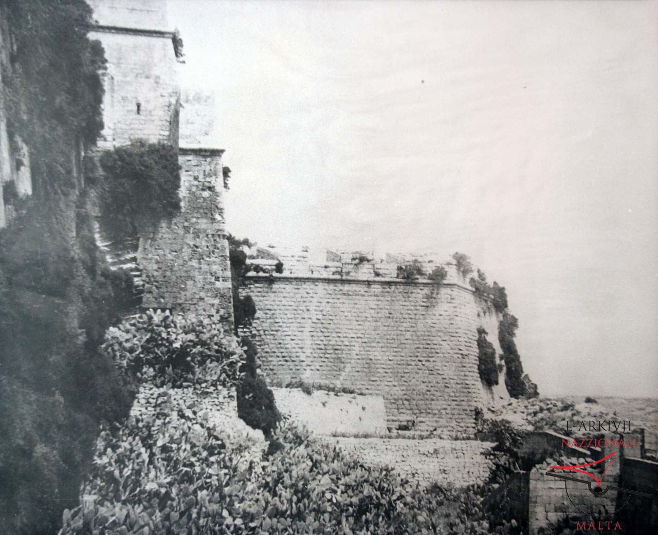 Battery of the Citadel