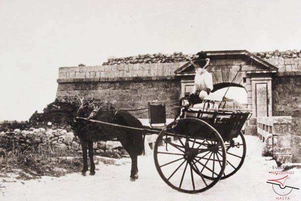 Calesse at Fort Chambray entrance