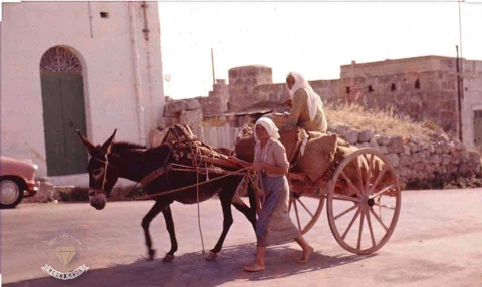 Traditional produce transport